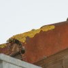 20090421_182606