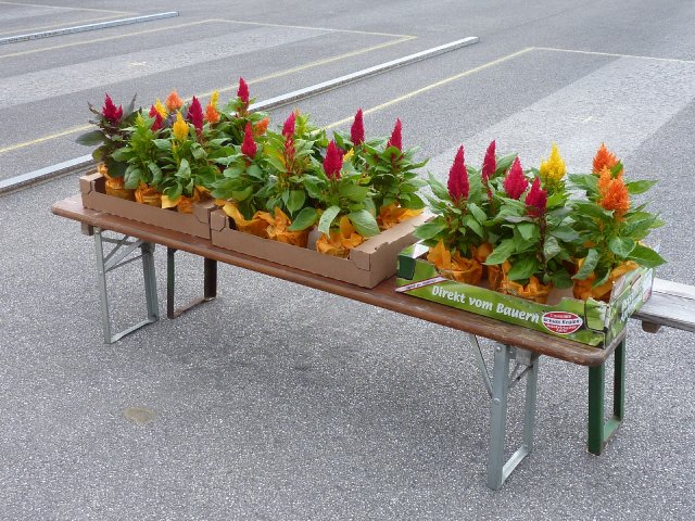 20100626_184049
