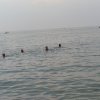 20080523_171146