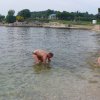 20080523_171317